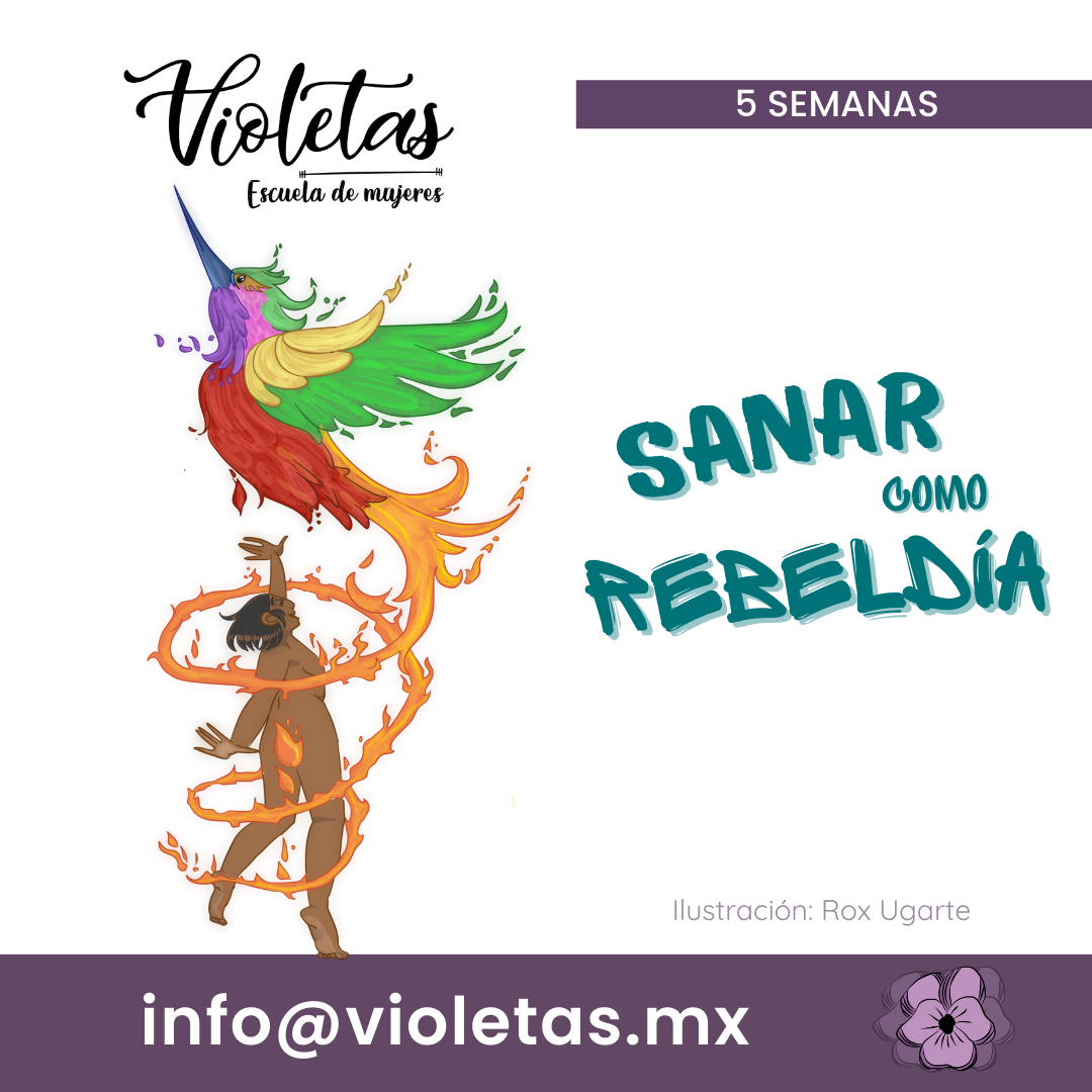 Sanar web