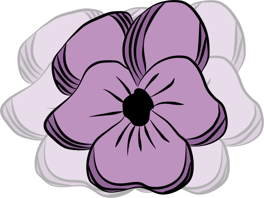 Violetas Escuela de Mujeres